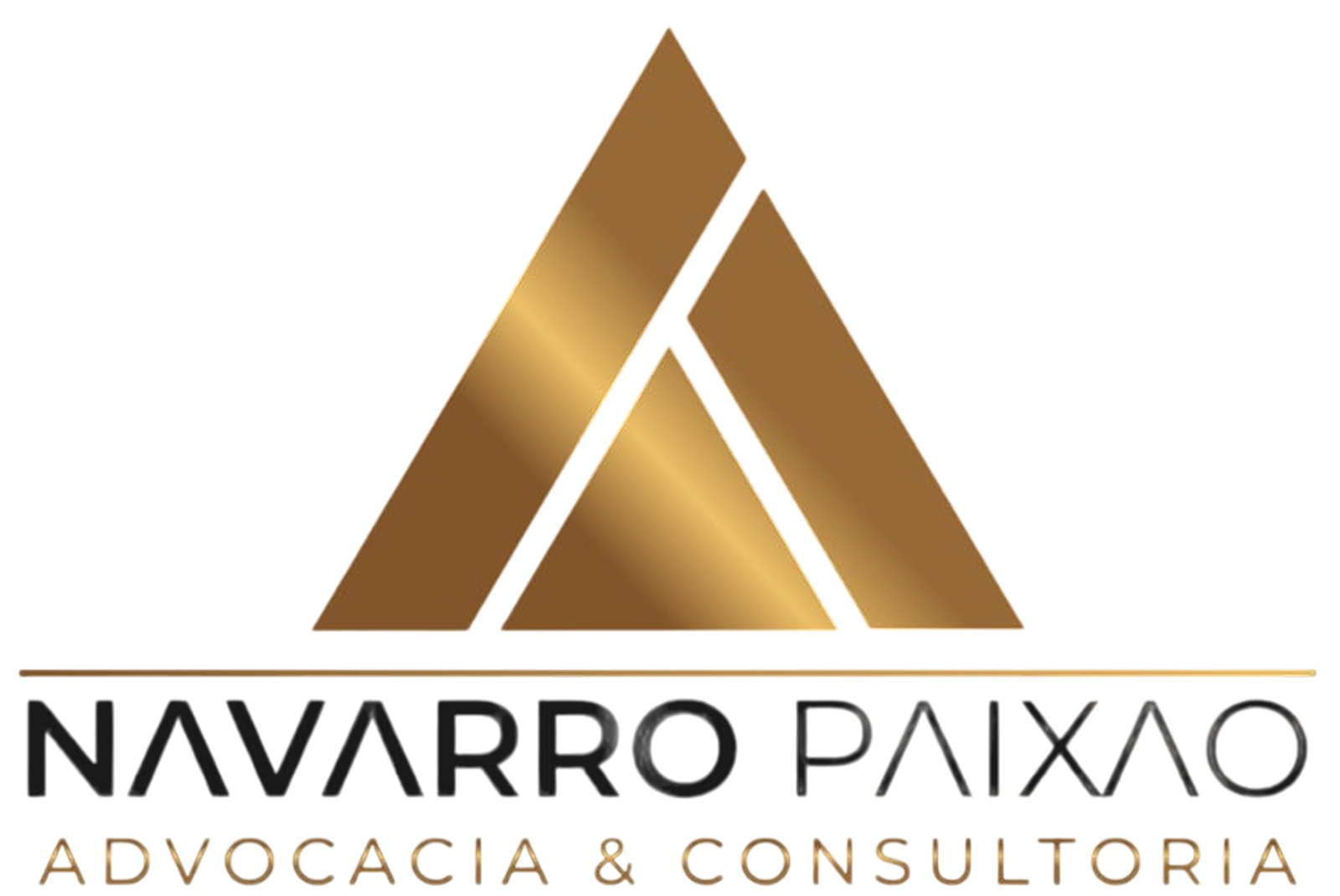 navarro logo principal-Photoroom 1